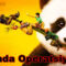Panda Operatsiyasi – Jekichan qatnashgan film O`zbek Tilida